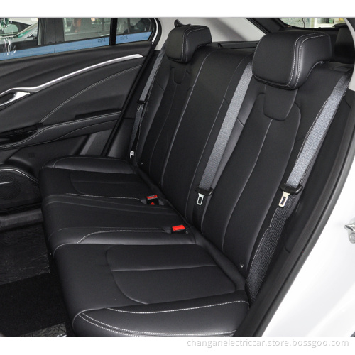 New Energy Electric Vehicle Nezha U